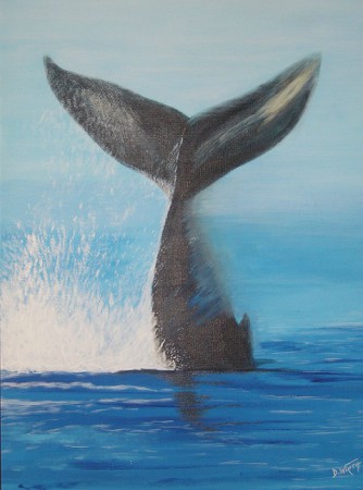 La baleine    55x38
